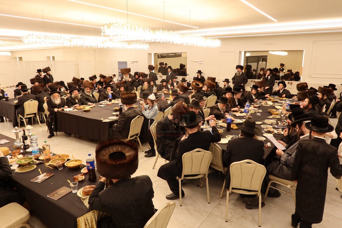 שמחת השבע ברכות בחצרות 'עטרת צבי' זידטשוב - ווערדאן 