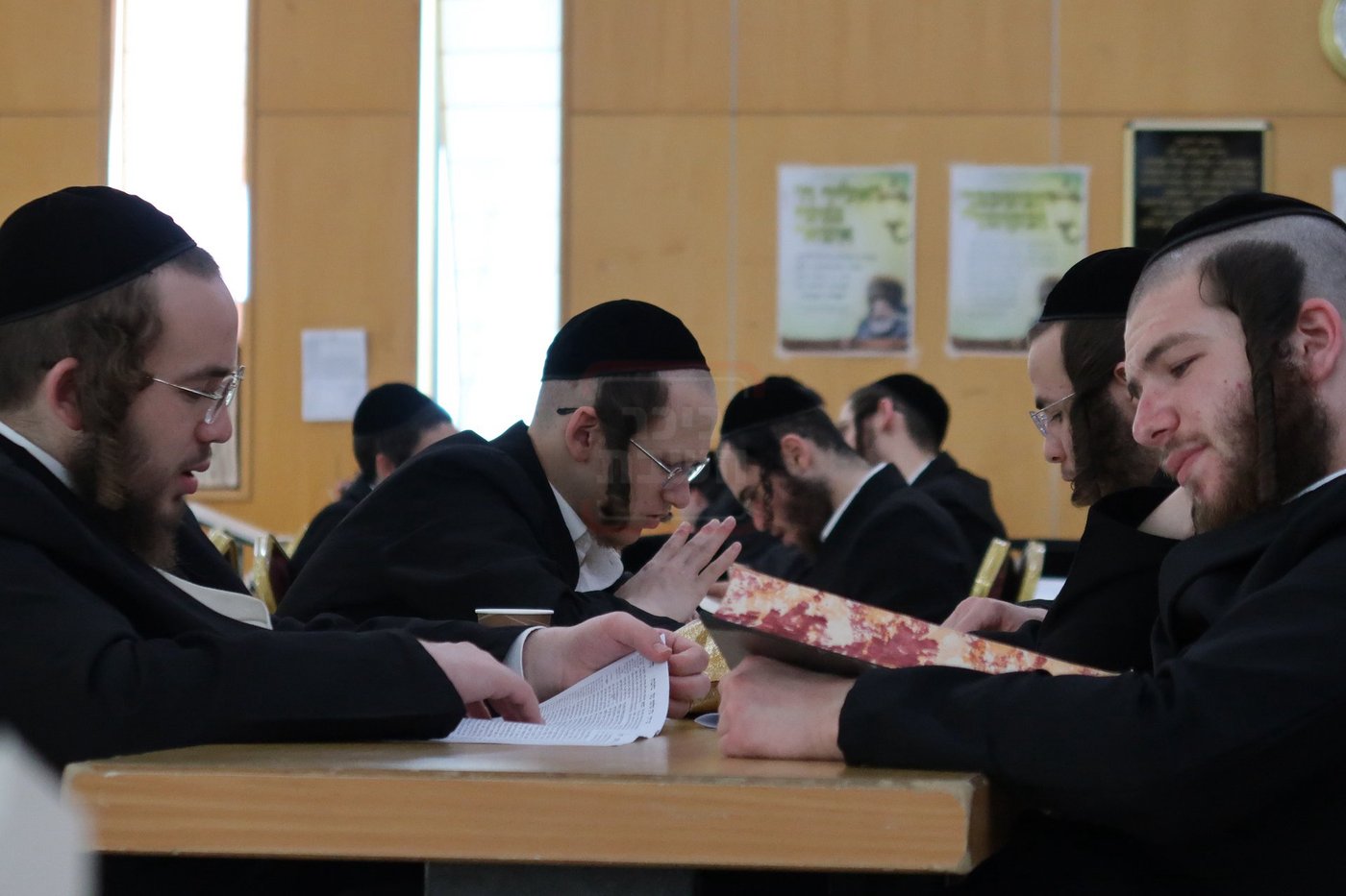 קעמפ לבחורי סאדיגורה