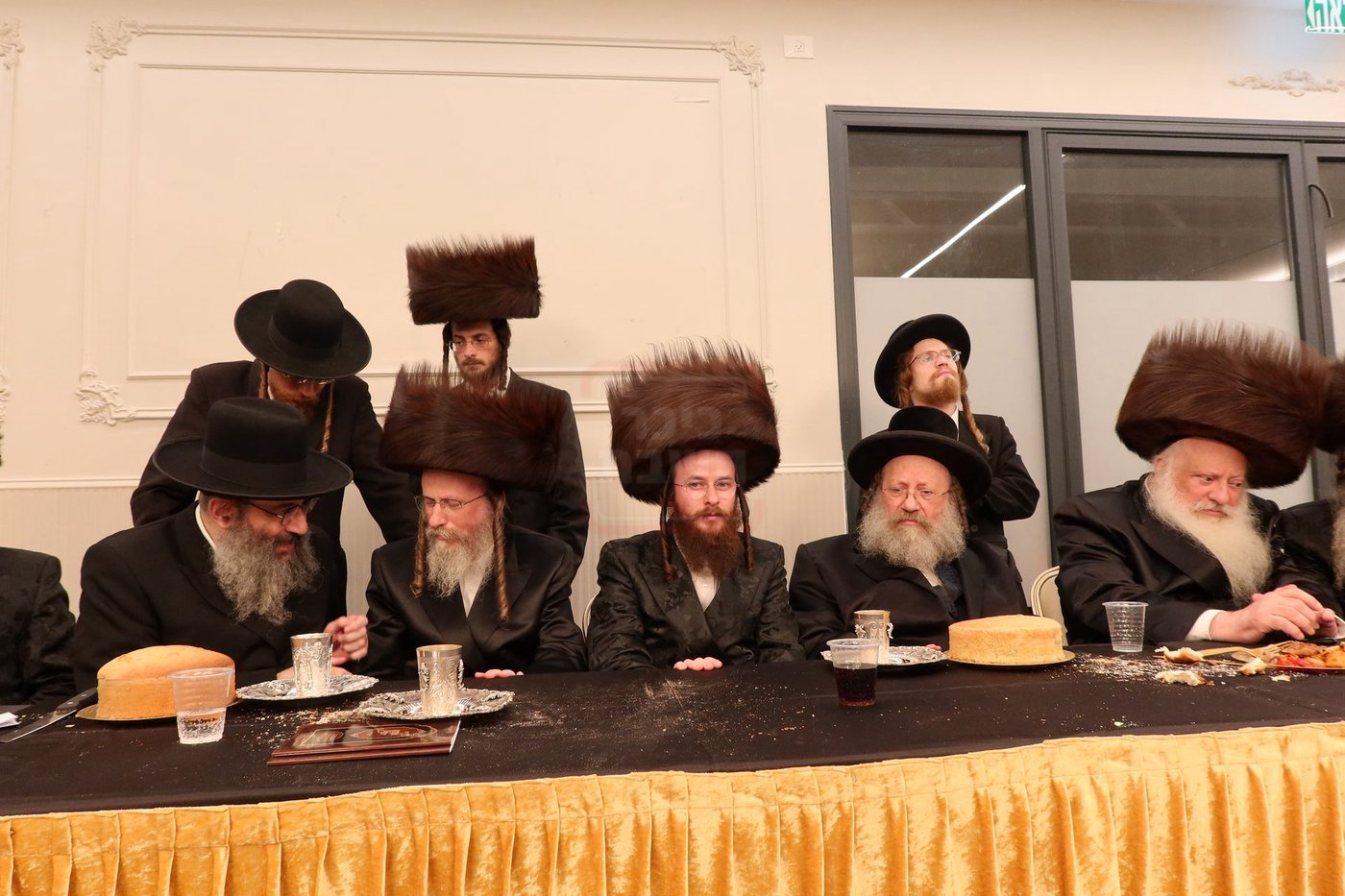 שמחת השבע ברכות בחצרות 'עטרת צבי' זידטשוב - ווערדאן 