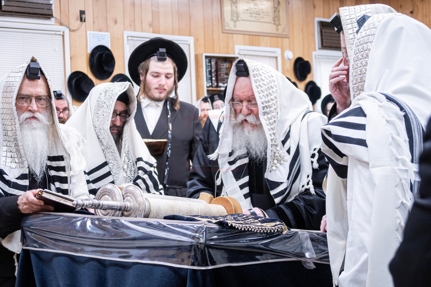 ראש חודש אלול בצל האדמו"ר מבאבוב