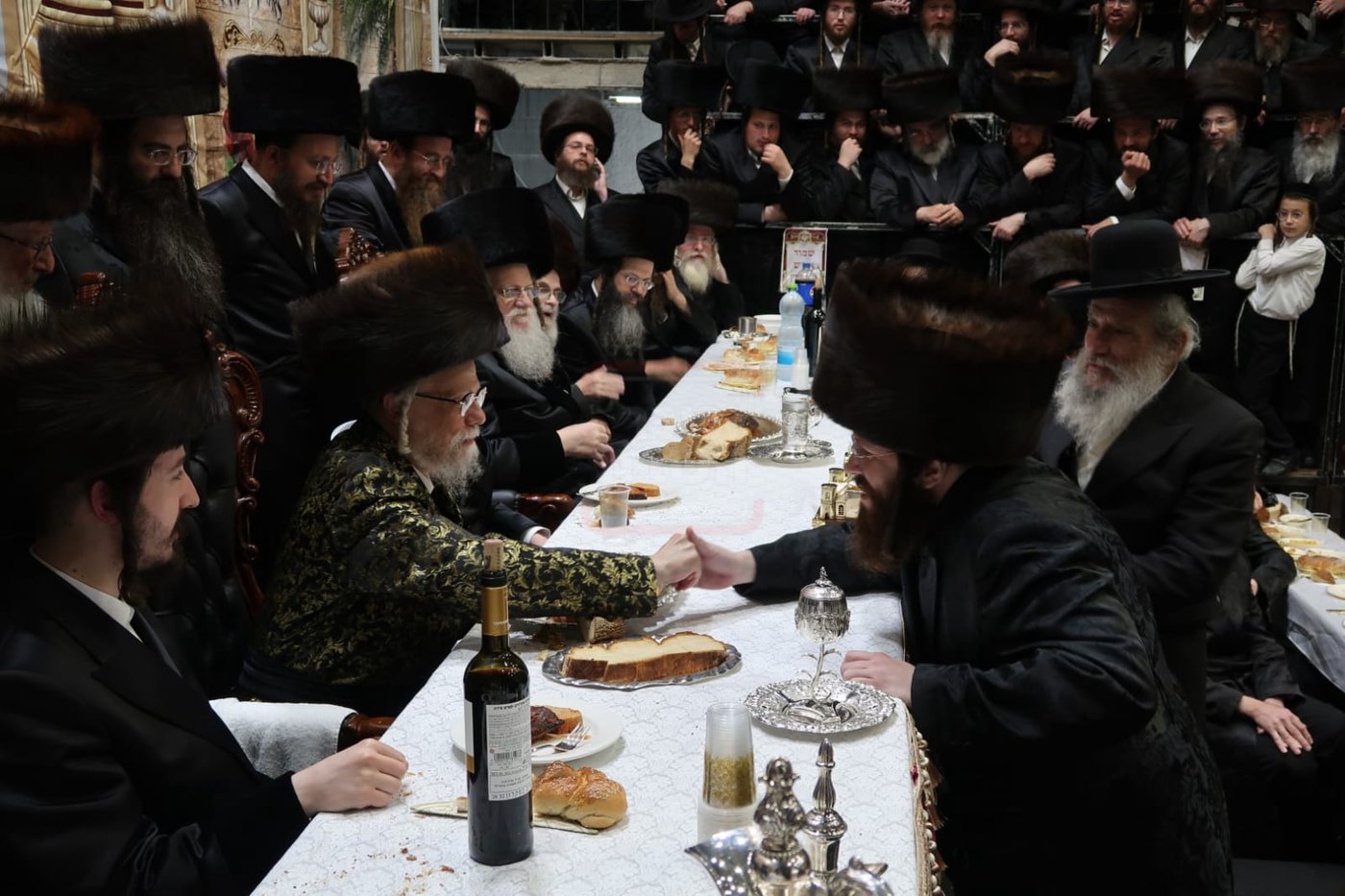 זופניק בכיכר | כל התמונות, הנייעס והחשיפות של השבוע