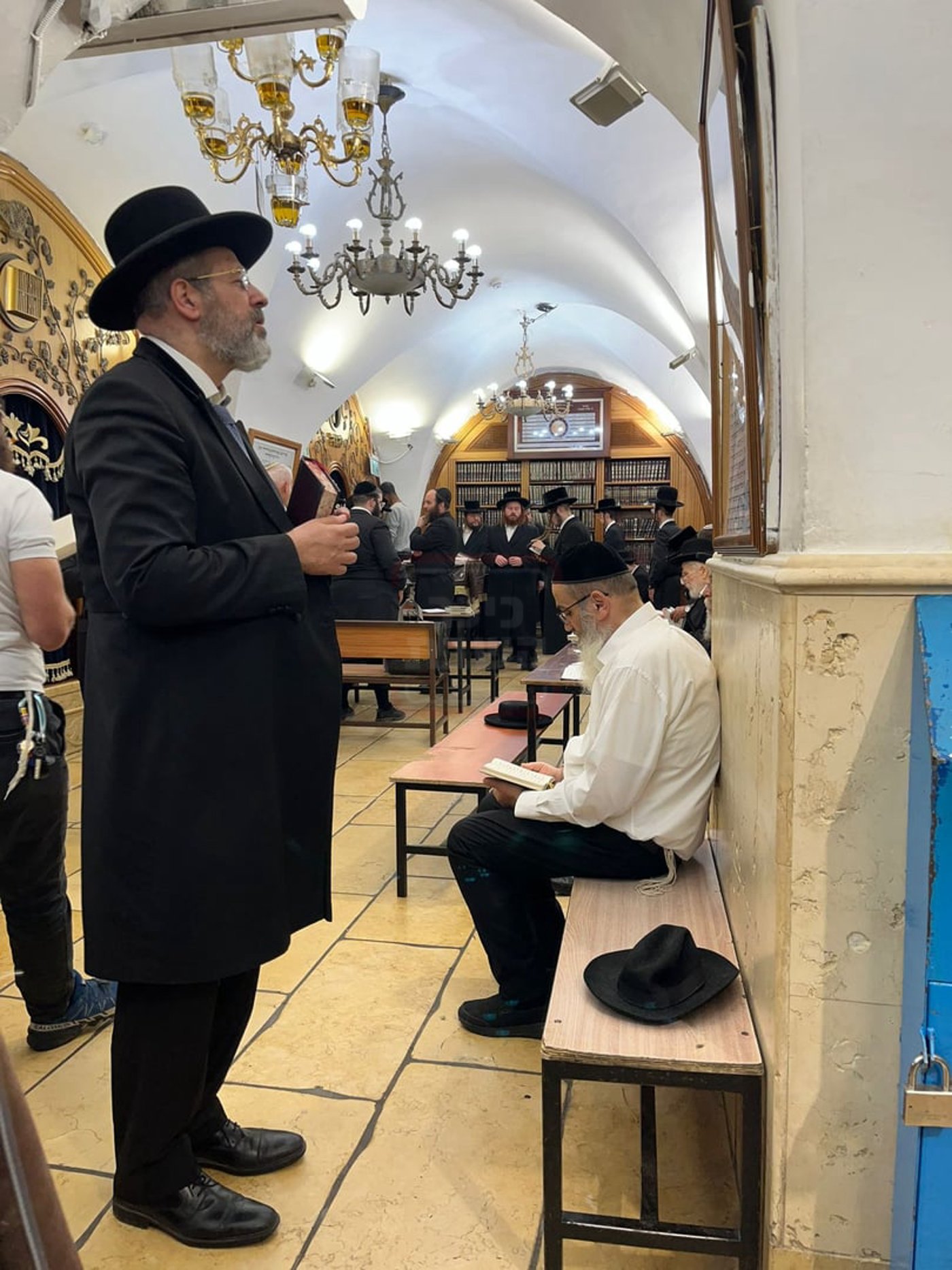 זופניק בכיכר | כל התמונות, הנייעס והחשיפות של השבוע
