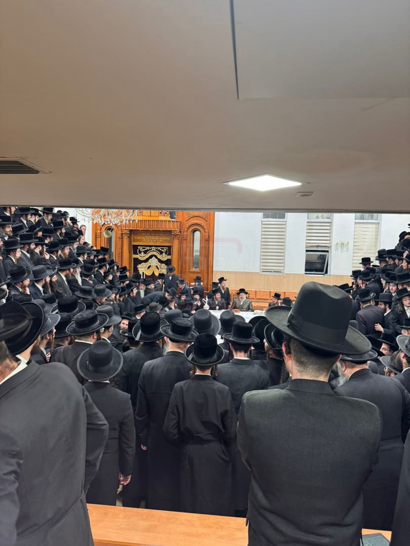 מעמד קבלת פנים לאדמו"ר מויז'ניץ לונדון