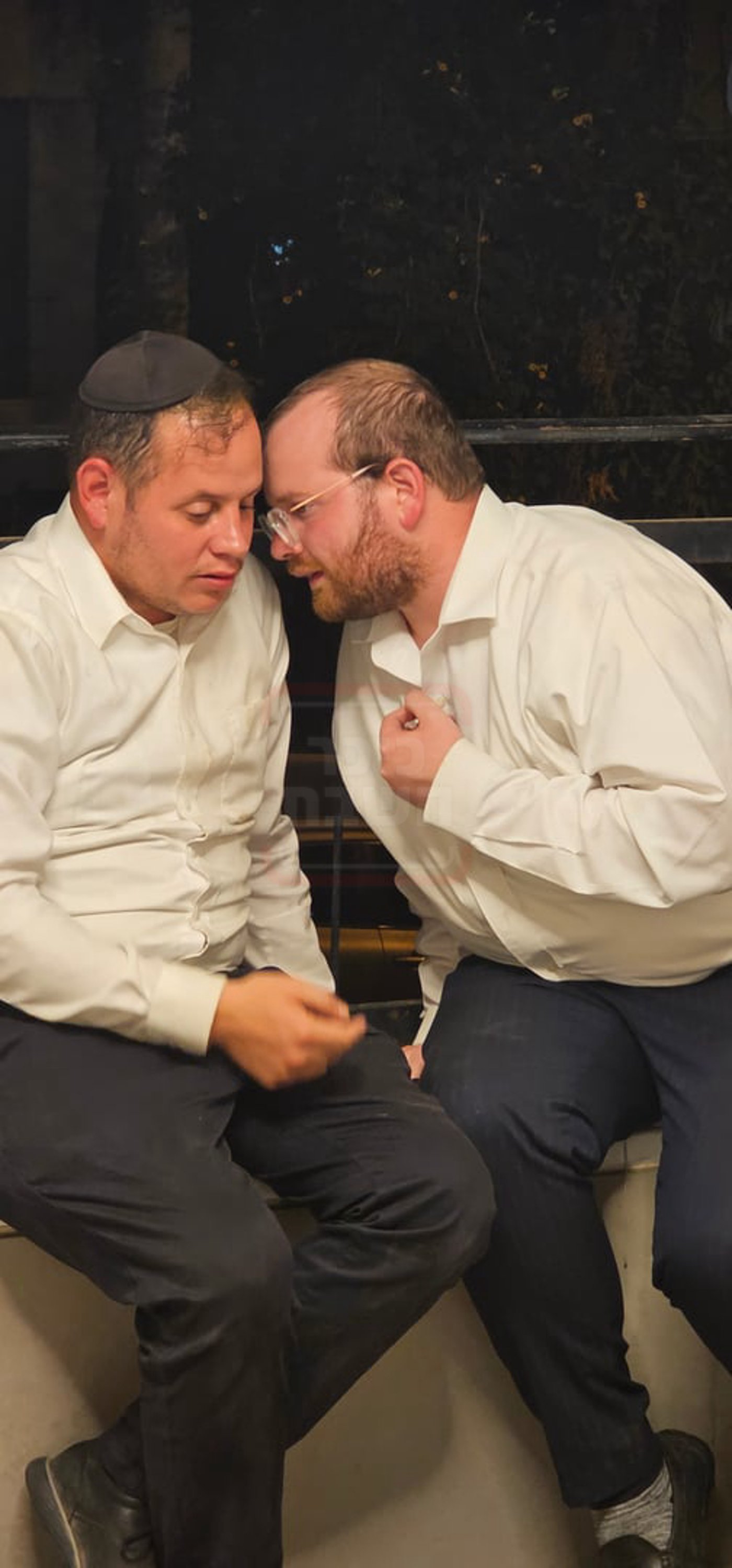 זופניק בכיכר | כל התמונות, הנייעס והחשיפות של השבוע