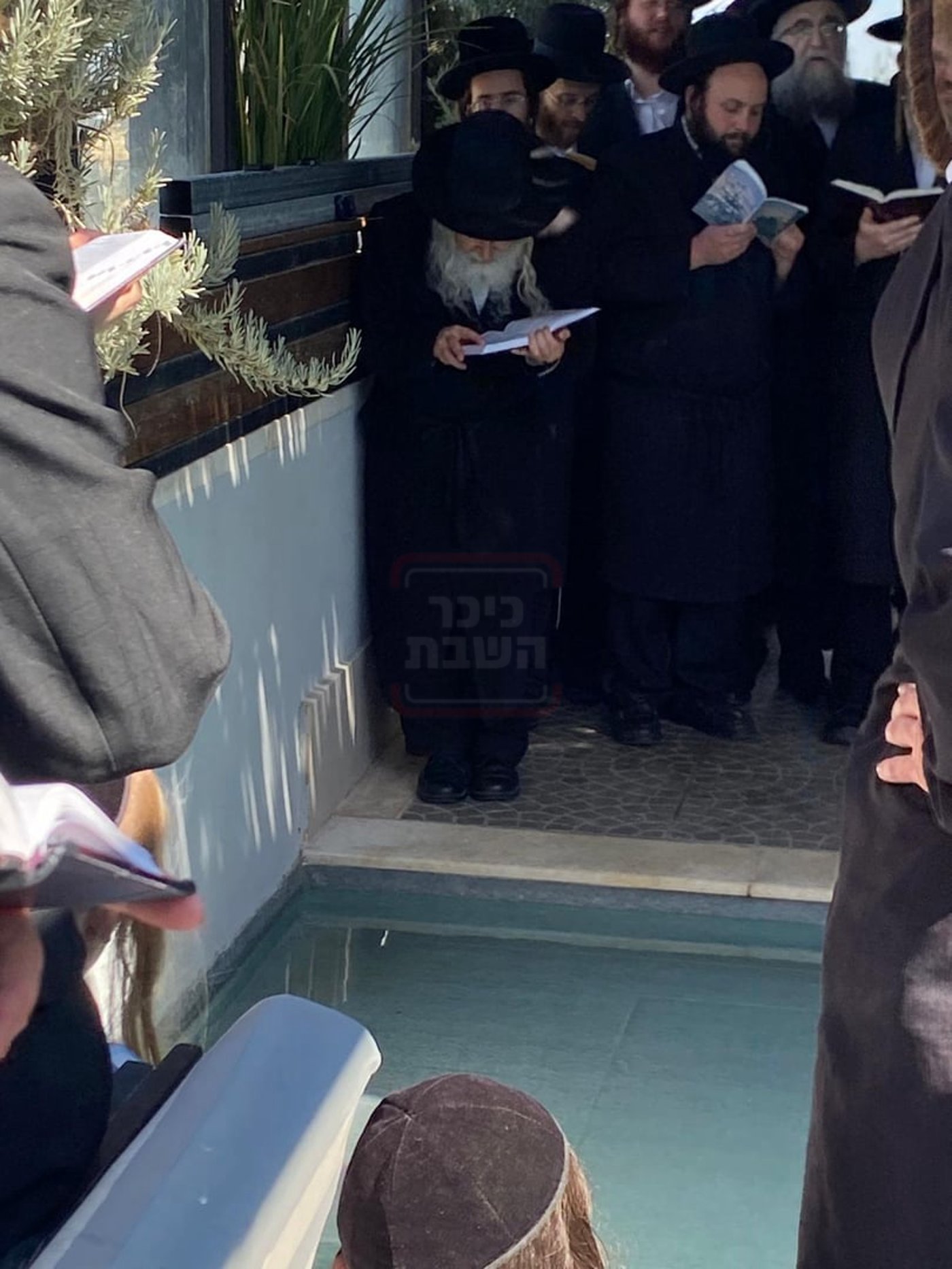 האדמו"ר מאמשינוב בתשליך