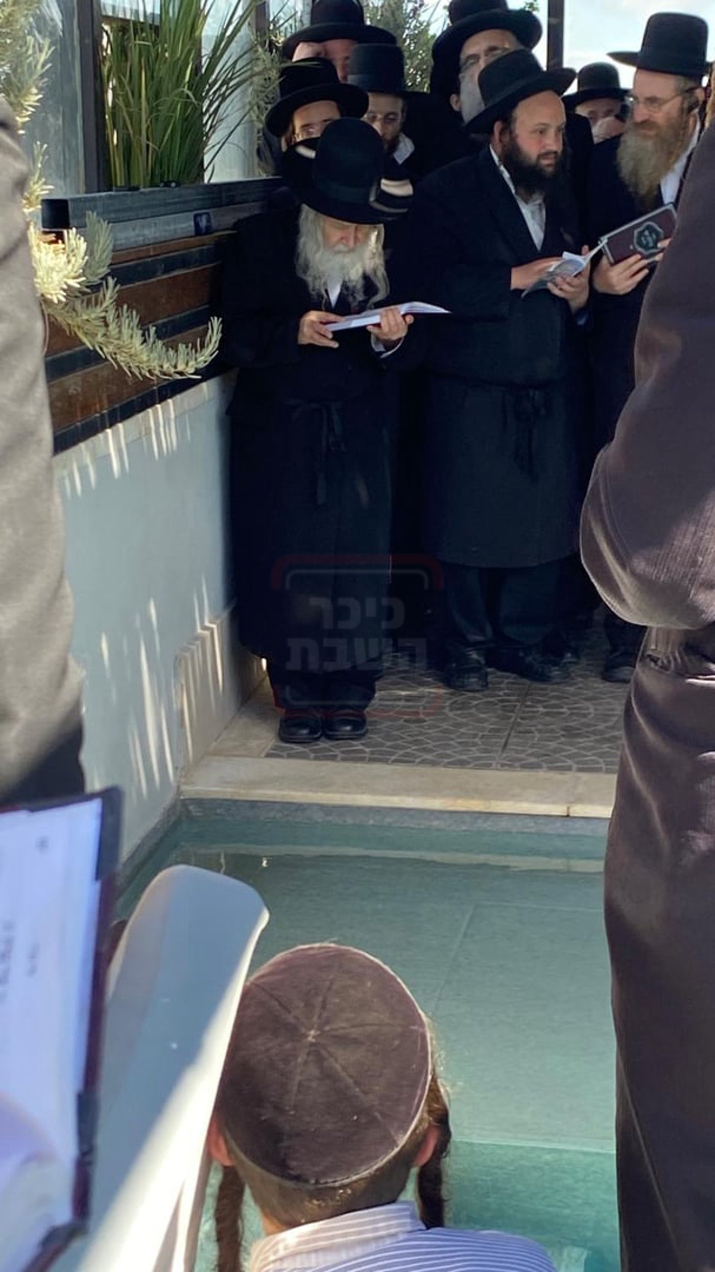 האדמו"ר מאמשינוב בתשליך