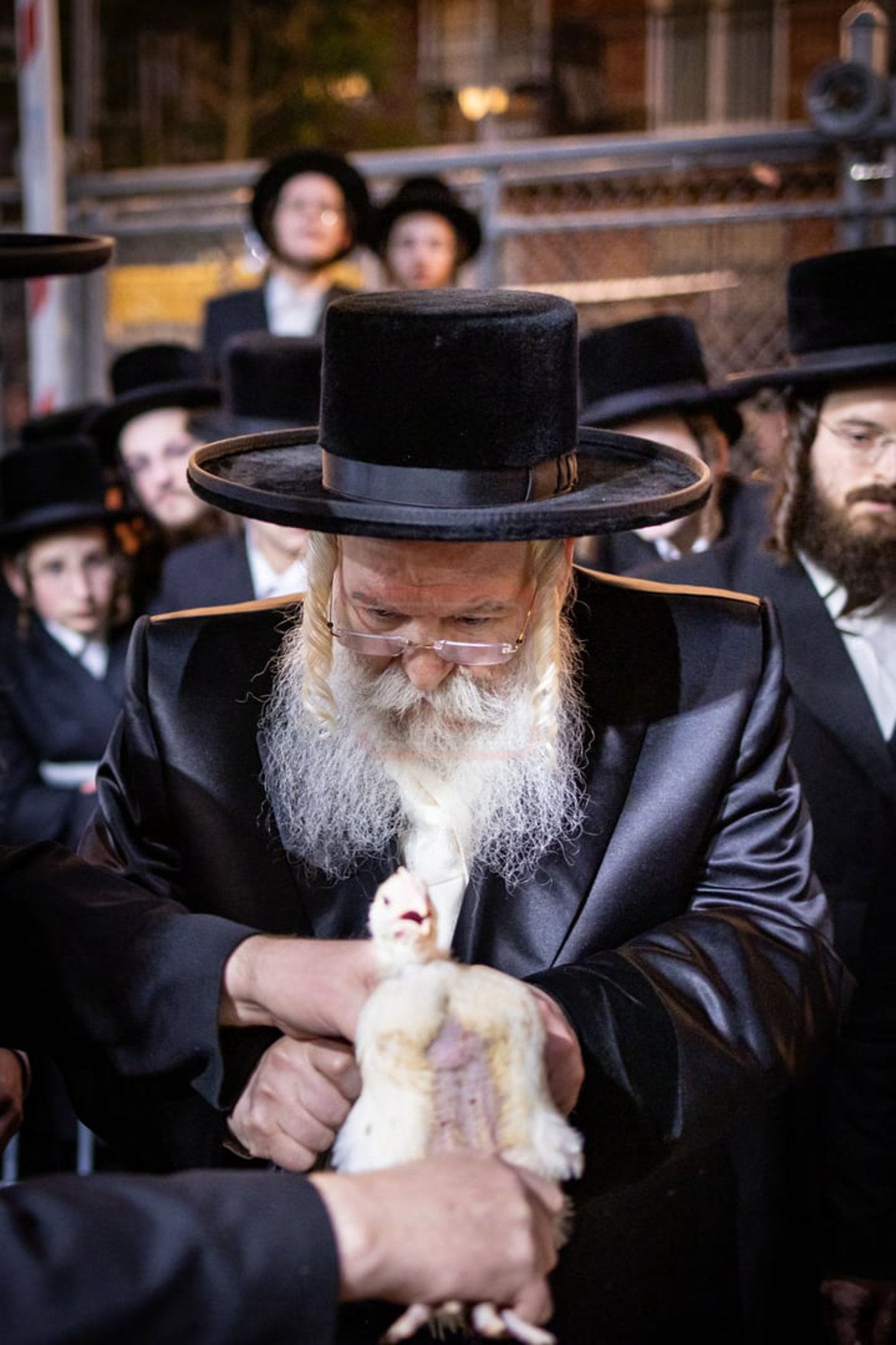 האדמו"ר מבאבוב במנהג כפרות