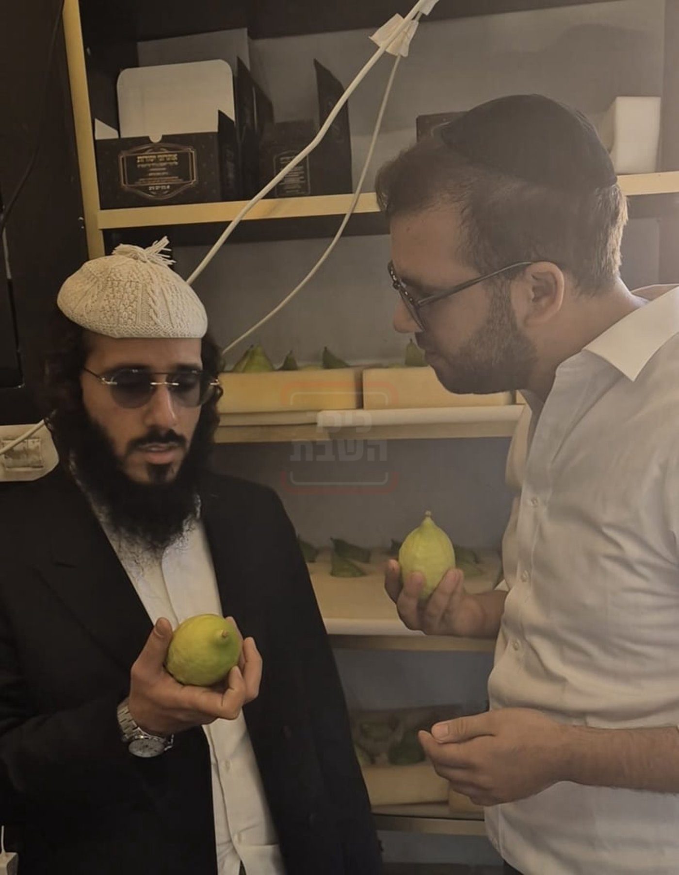 הארמון שחסום לזרים | 'זופניק בכיכר' עם כל התמונות, הנייעס והחשיפות של השבוע