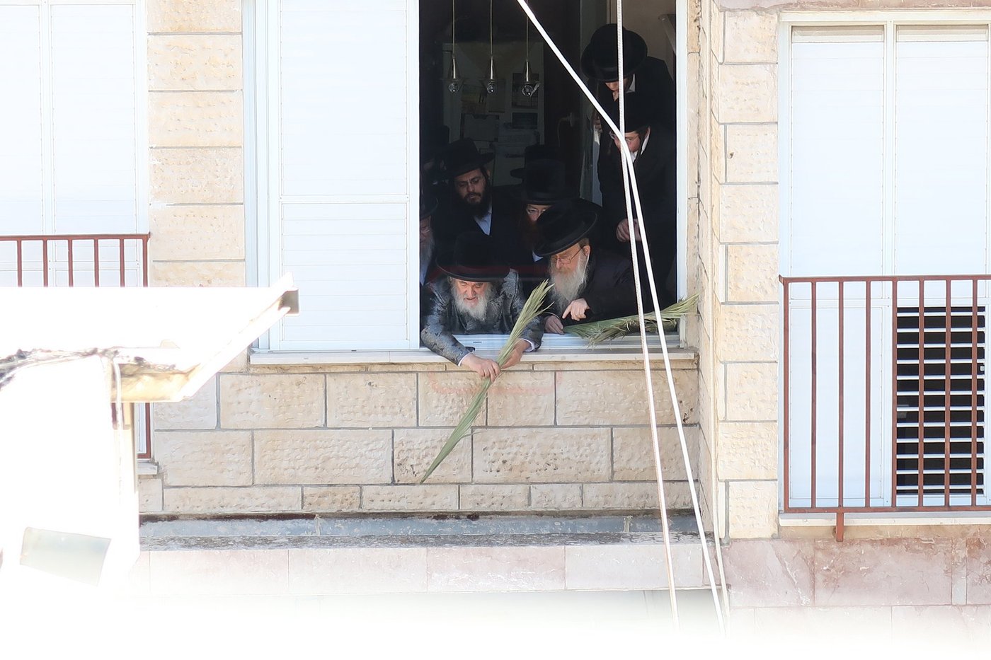 האדמו"ר מויז'ניץ בהנחת סכך ערב סוכות