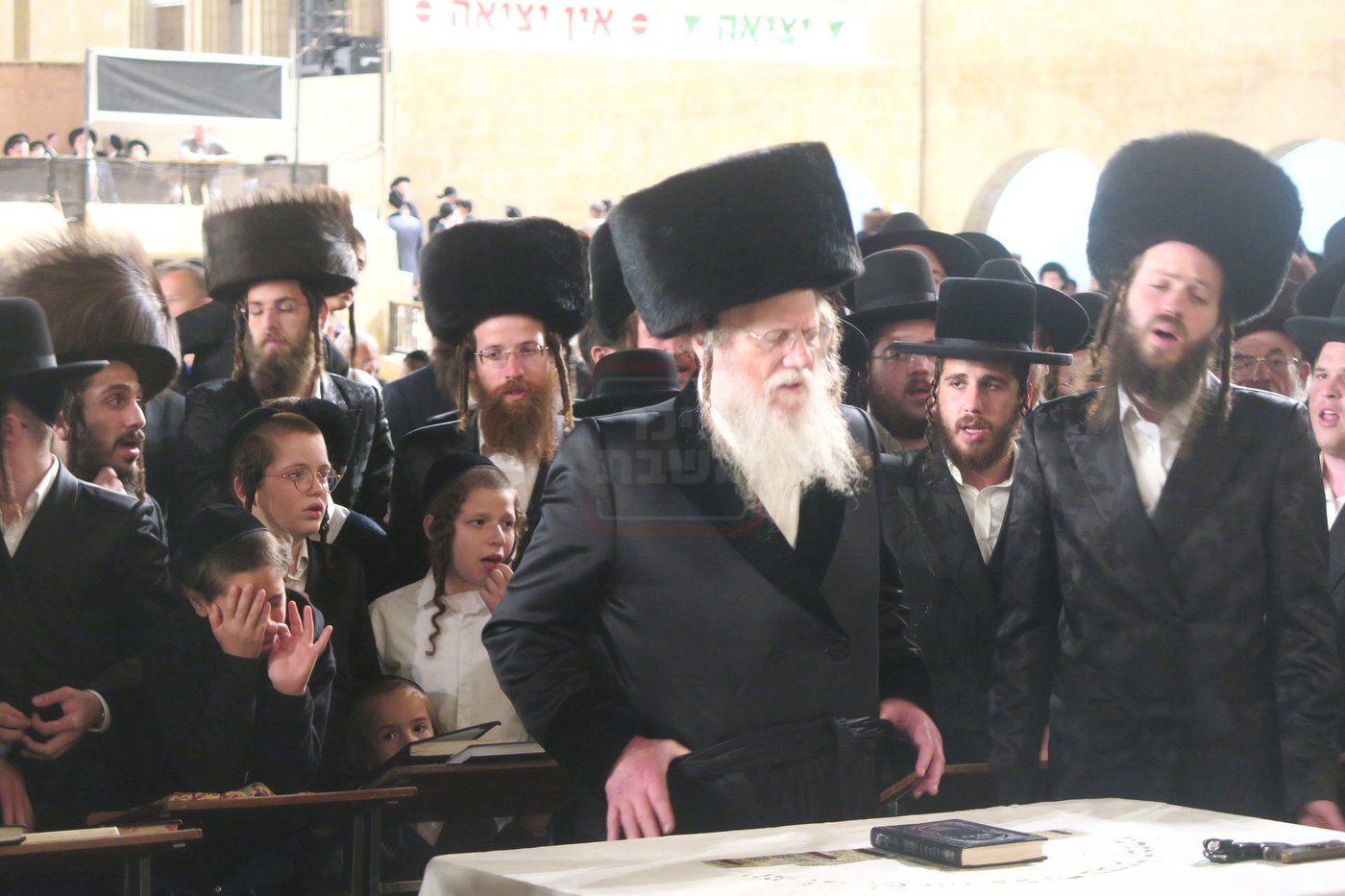 האדמו"ר ממודז'יץ בתפילה ע"י ה'כותל המערבי'