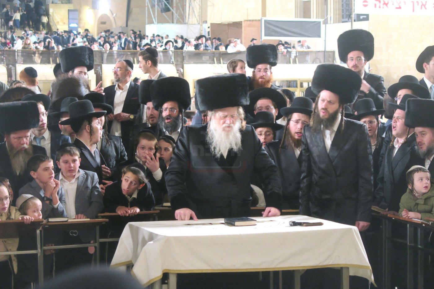 האדמו"ר ממודז'יץ בתפילה ע"י ה'כותל המערבי'