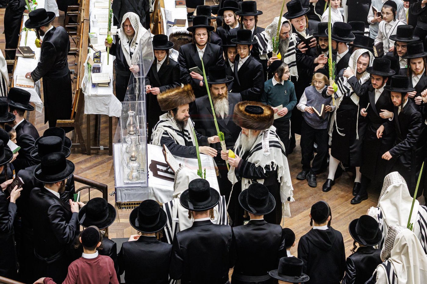 חג הסוכות ושמחת תורה בחצה"ק באבוב