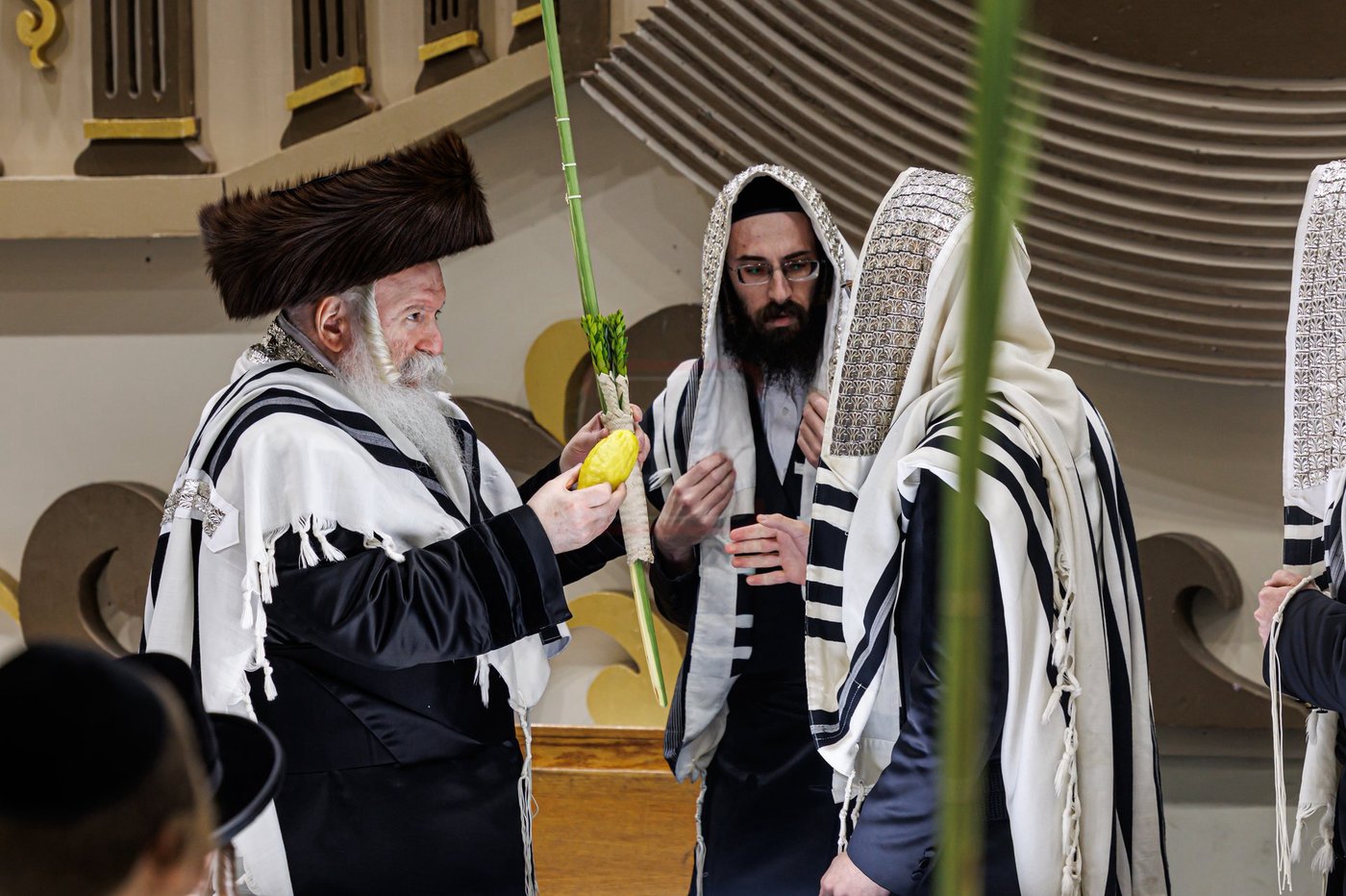 חג הסוכות ושמחת תורה בחצה"ק באבוב