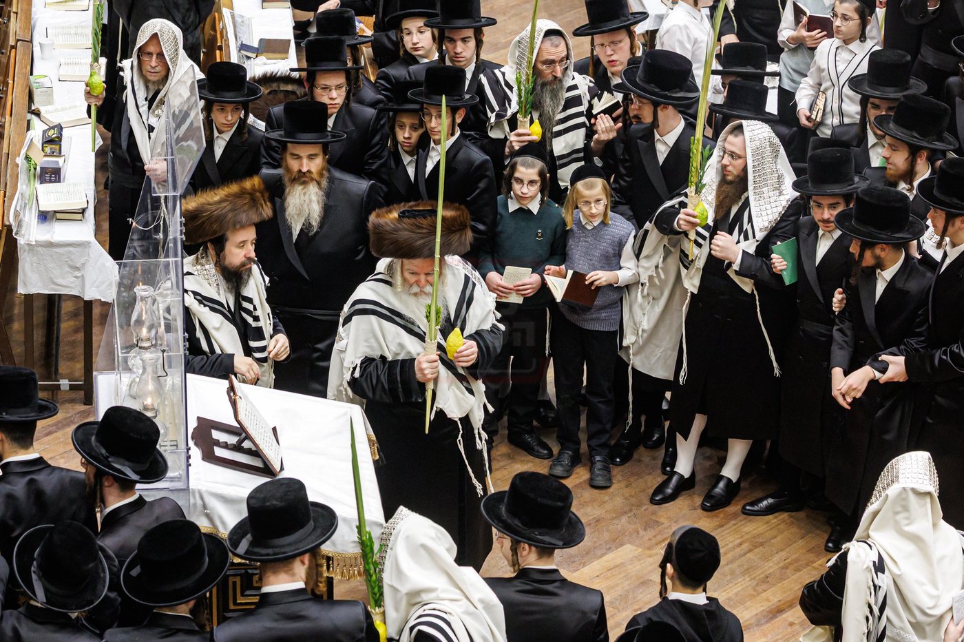 חג הסוכות ושמחת תורה בחצה"ק באבוב