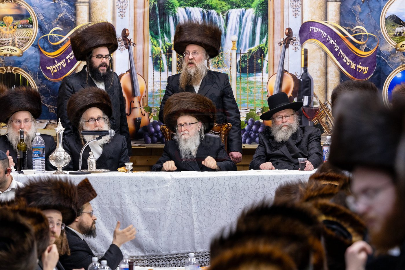 חג הסוכות בצל האדמו"ר מסערדאהעלי 