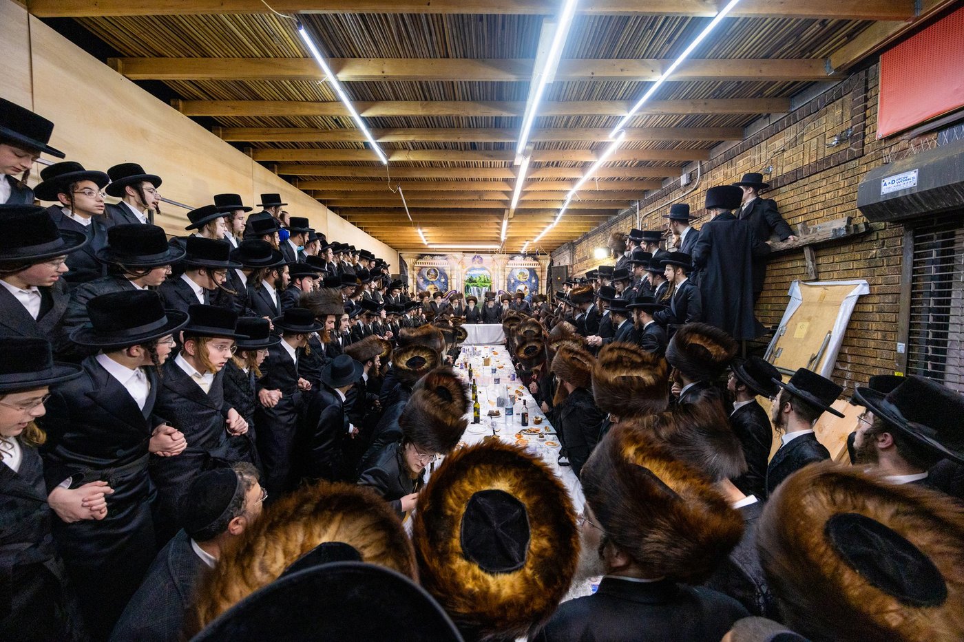 חג הסוכות בצל האדמו"ר מסערדאהעלי 