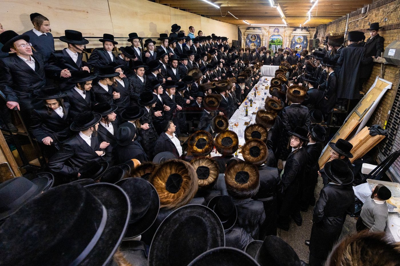 חג הסוכות בצל האדמו"ר מסערדאהעלי 