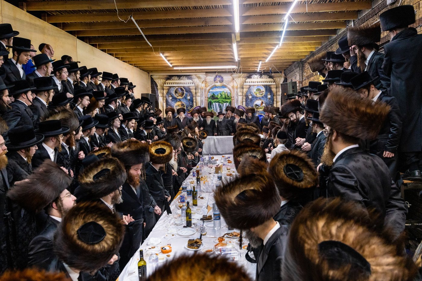 חג הסוכות בצל האדמו"ר מסערדאהעלי 