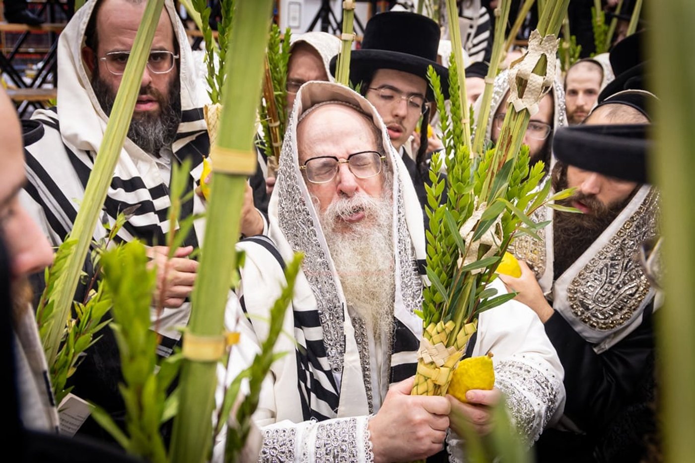 סוכות - הושענא רבה ומוצאי שמחת תורה בחצה"ק צאנז קלויזנבורג