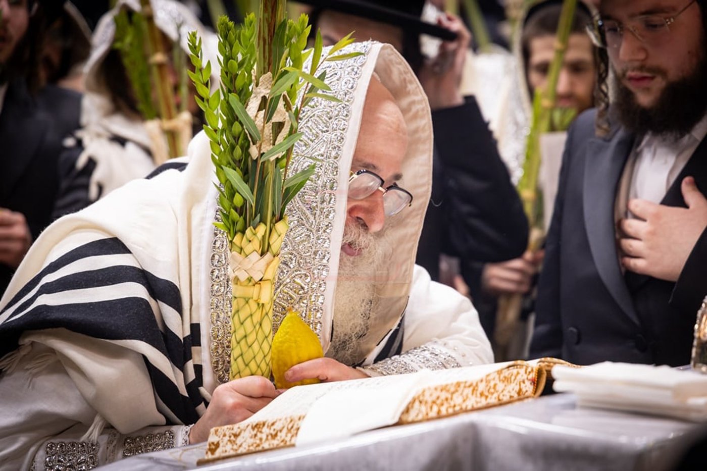 סוכות - הושענא רבה ומוצאי שמחת תורה בחצה"ק צאנז קלויזנבורג
