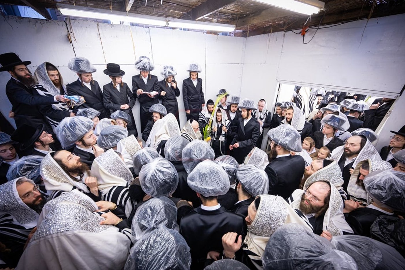 סוכות - הושענא רבה ומוצאי שמחת תורה בחצה"ק צאנז קלויזנבורג
