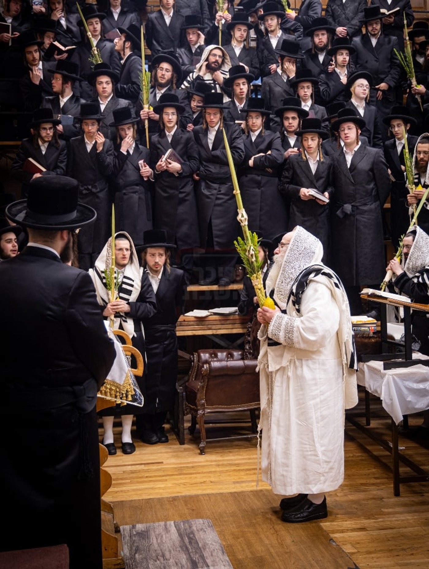 סוכות - הושענא רבה ומוצאי שמחת תורה בחצה"ק צאנז קלויזנבורג
