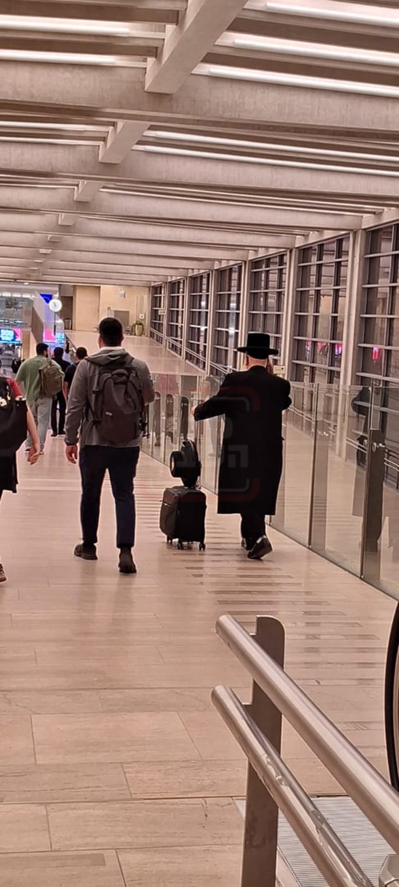 ה"חמור" שזכה ל"ימים" | 'זופניק בכיכר' עם כל התמונות, הנייעס והחשיפות של השבוע