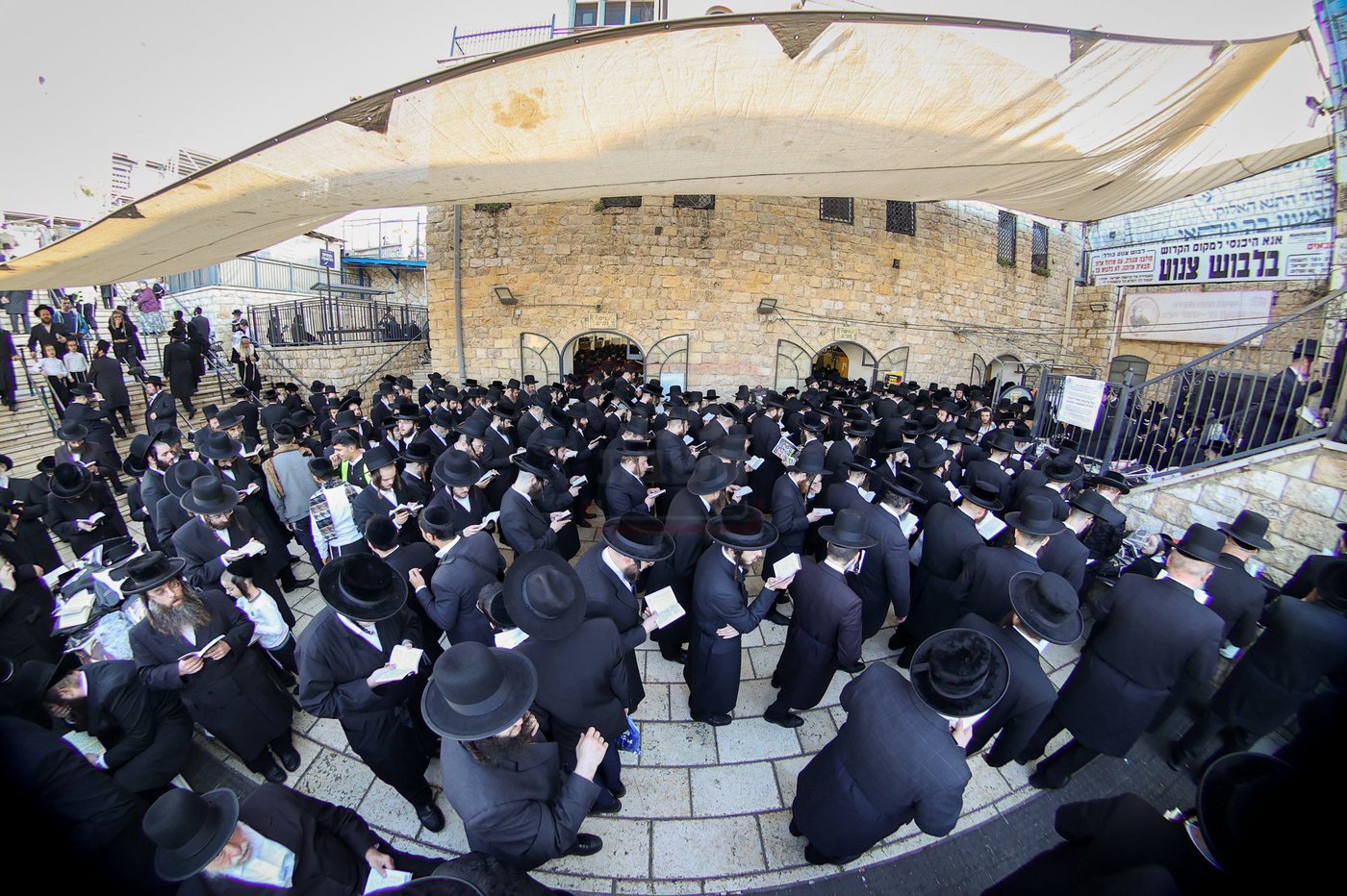 האדמו"ר מסאטמר באמירת תהילים במירון