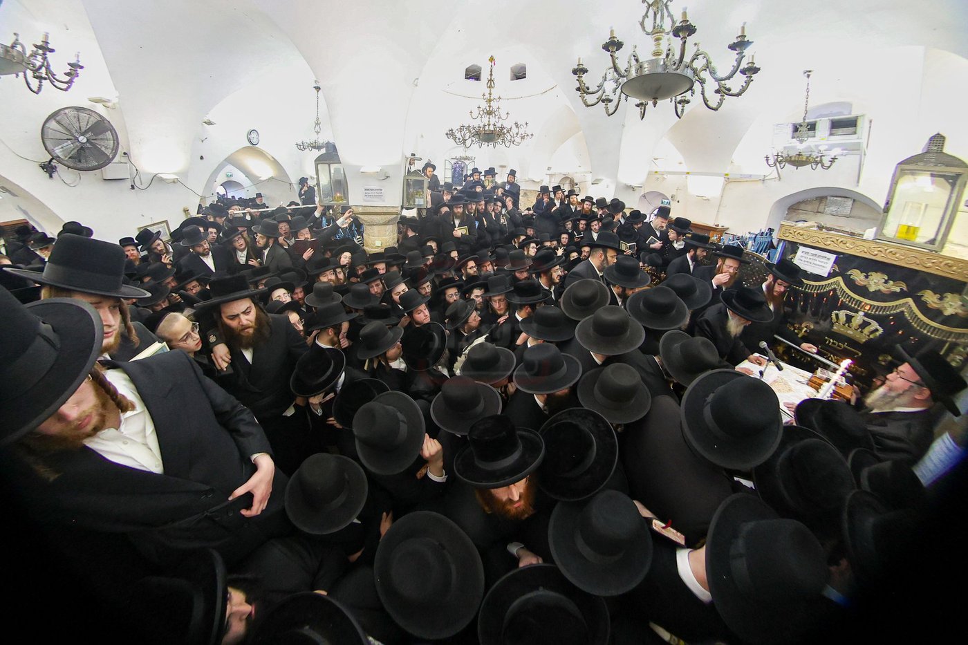 האדמו"ר מסאטמר באמירת תהילים במירון