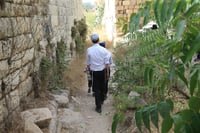 ילדים מטיילים. אילוסטרציה, למצולמים אין קשר לנאמר בכתבה