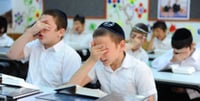 תלמוד תורה של החינוך העצמאי. אילוסטרציה