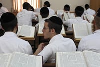 אברכים בכולל, אילוסטרציה