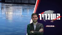 השגריר