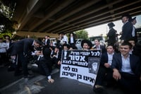 הפגנות הרצ"פניקים בעבר