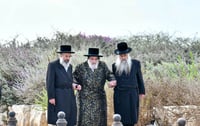 האדמו"ר מויז'ניץ 