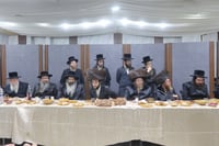 שמחת השבע ברכות בחצרות מעליץ - ערלוי אלעד -ראדומישלא 
