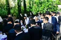 תושבי בני ברק בברכת האילנות