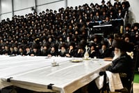 האדמו"ר מדארג באסתר טיש