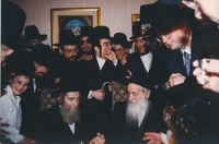 רבינו עם הרב אהרן יהודה לייב שטיינמן  זצ"ל