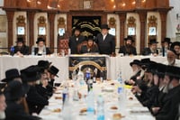 טיש הילולא בקאליב