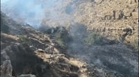 השריפה בה היו מעורבים גם בחורי ישיבות; "רשלנות מטיילים"