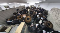 הילולת בעל ה'אמרי יוסף' מספינקא זי"ע