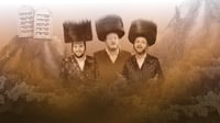 אברימי שטרויס, יואלי דוידוביץ והרשי אייזנבך שרים: "קרליבך תורה מדלי"