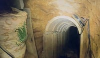 הפירים הממולכדים שאותרו