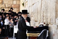 האדמו"ר מסערט ויז'ניץ בתפילה ע"י הכותל המערבי