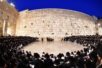 האדמו"ר מסערט ויז'ניץ בתפילה ע"י הכותל המערבי