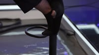 חור בגרב וסוס טרויאני: החדשות הלא באמת חשובות של השבוע | צפו