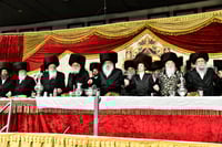 שמחת בית נדבורנה - קאסוב ויז'ניץ - ערלוי - האלמין