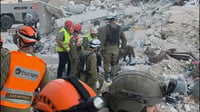 הכלבנים הצטרפו לחיפושים אחר הנעדרים בזירת הנפילת בבת ים | צפו בתיעוד