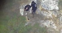 אין להם גבולות: ערבים ניסו לגנוב כלי רכב במרכז הארץ - בזמן שכולם רצו למקלט